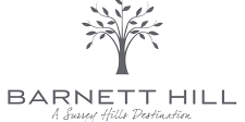 Wedding Videographer Barnett Hill Albury, Surrey